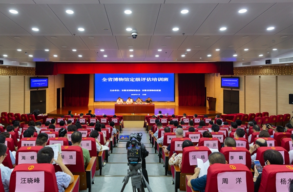 The grading organize employees to participate in the province of anhui museum museum training